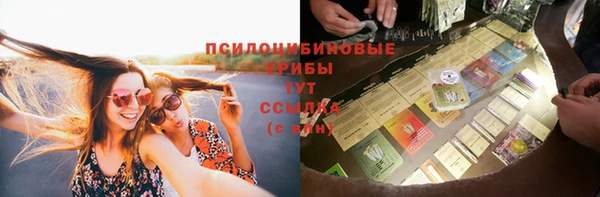 mdpv Верхний Тагил