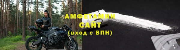 индика Володарск