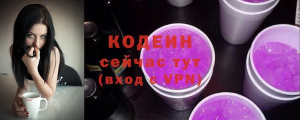 индика Володарск