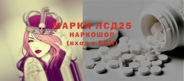 индика Волосово