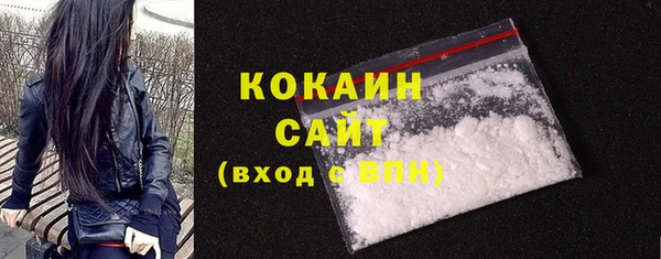 индика Волосово
