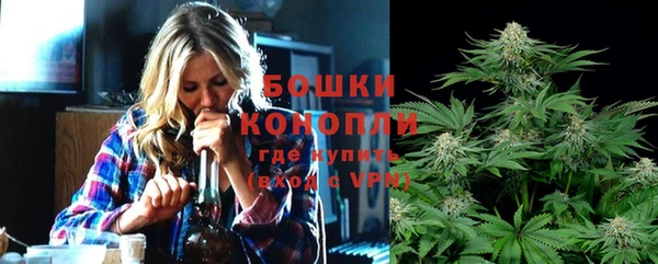 мдпв Волоколамск