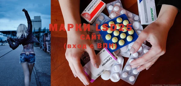 индика Володарск