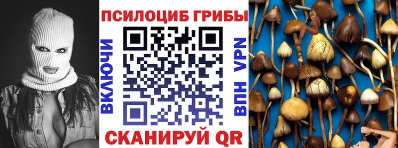 shop официальный сайт  Копейск  Псилоцибиновые грибы Magic Shrooms 
